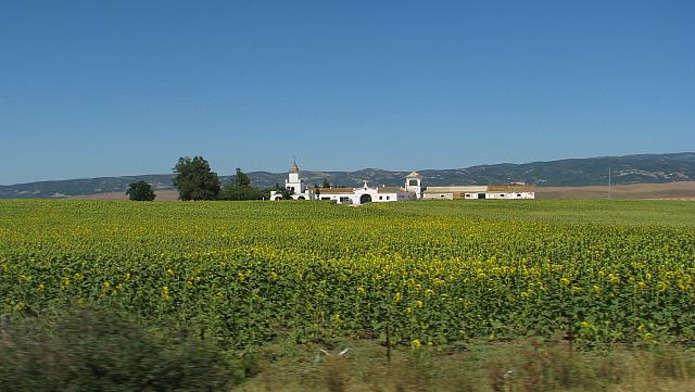 201407 Espana 1101