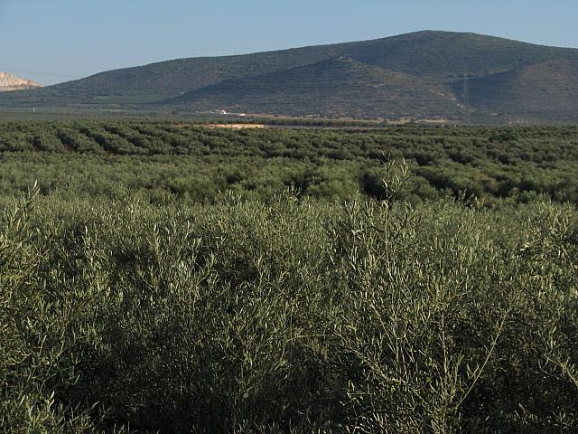 201407 Espana 1116