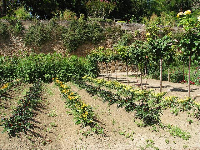201407 Espana 1217