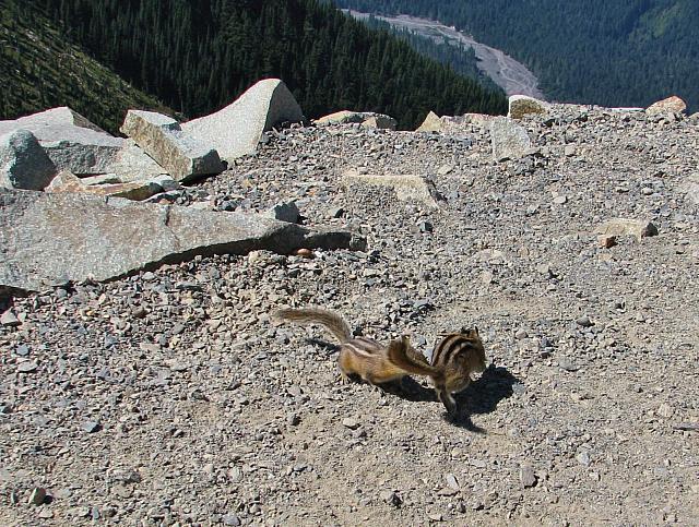 201408 Crystal Mtn 037