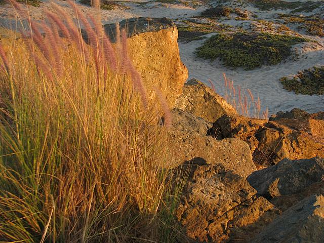 201411 131