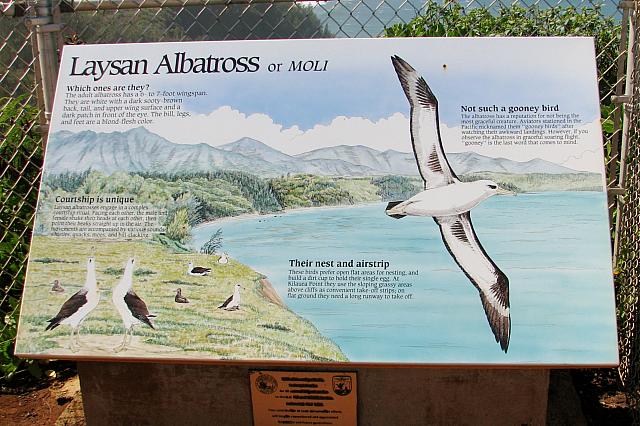 201501 Hawaii 053