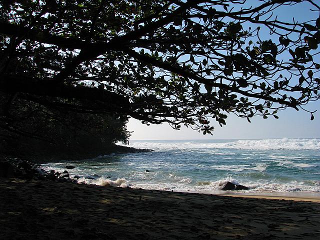 201501 Hawaii 082