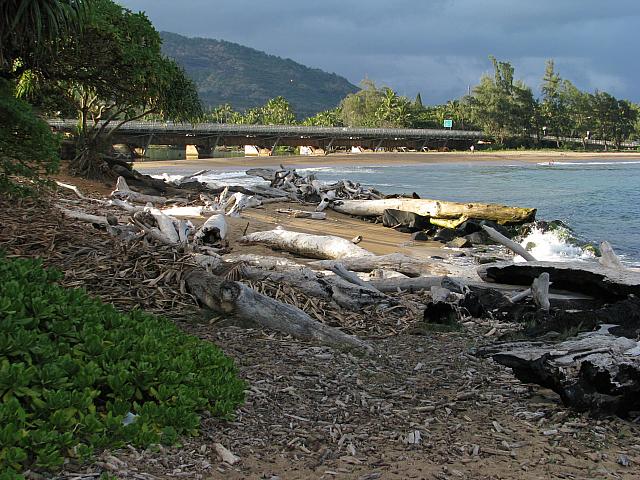 201501 Hawaii 141