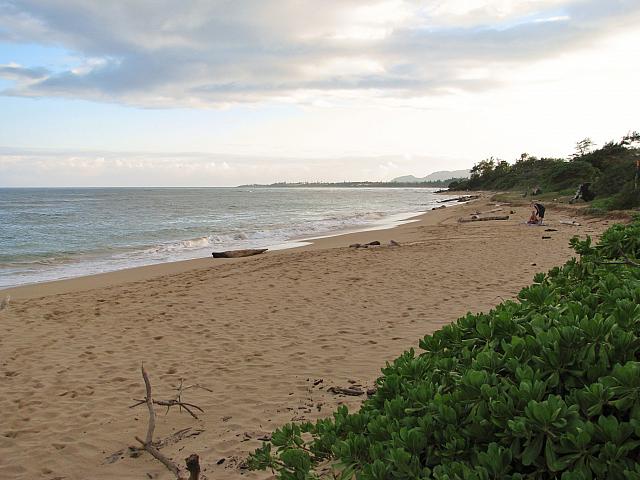 201501 Hawaii 157