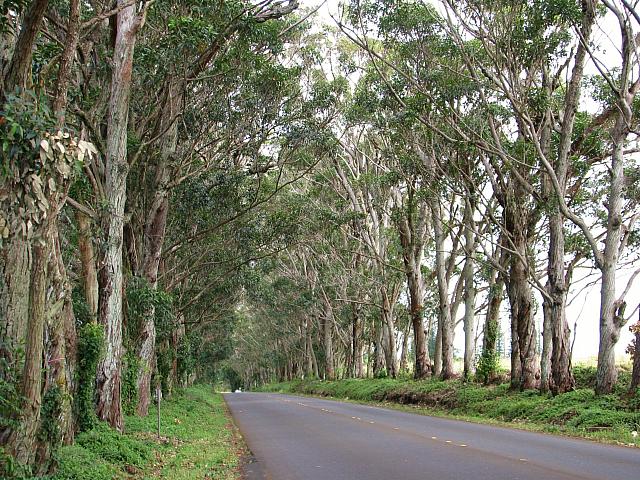 201501 Hawaii 212