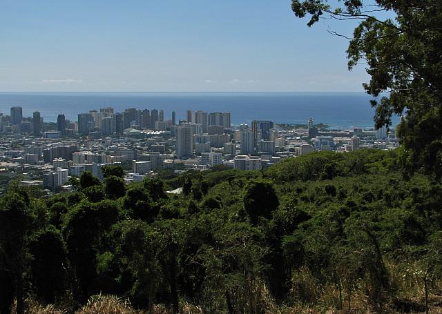 201501 Hawaii 569