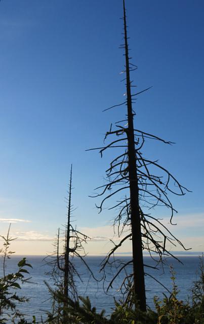 201509OlympicPeninsula 045
