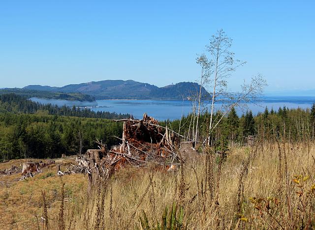 201509OlympicPeninsula 049