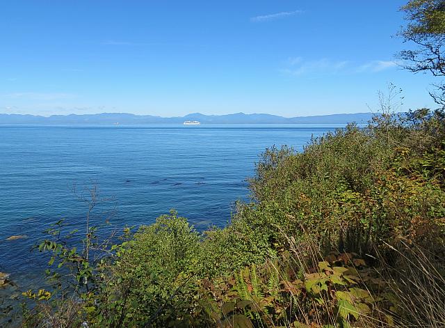 201509OlympicPeninsula 063