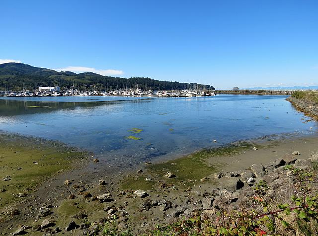 201509OlympicPeninsula 067