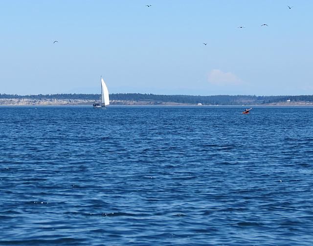 201509OlympicPeninsula 095