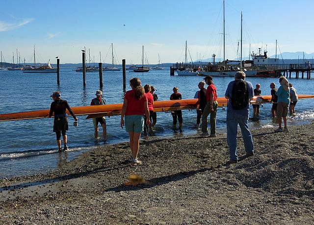 201509OlympicPeninsula 119