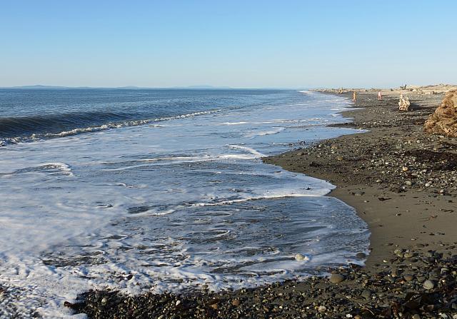 201509OlympicPeninsula 137
