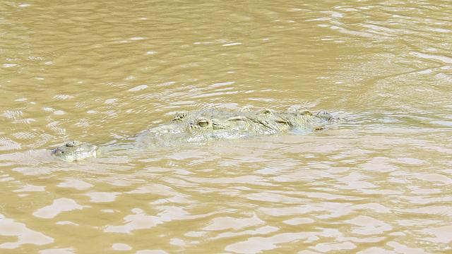201511 Trip 867