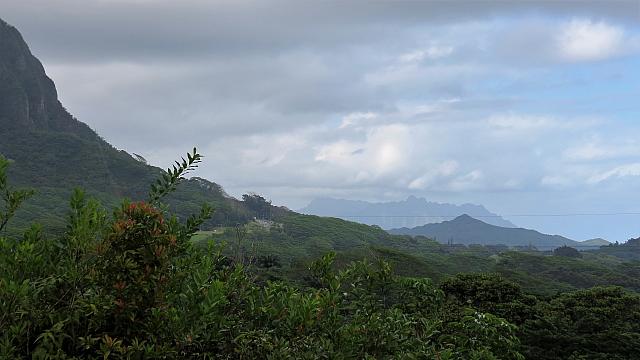 IMG 4133