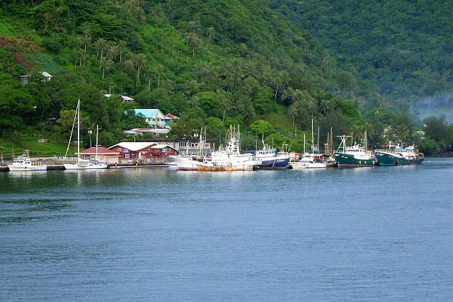 P1100246
