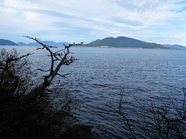 IMG 6189 (2)