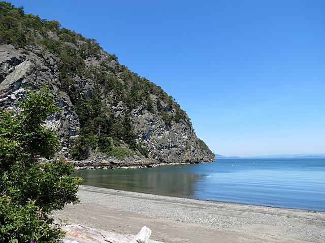 IMG 7419