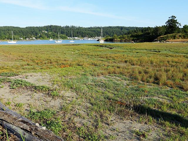 IMG 7449