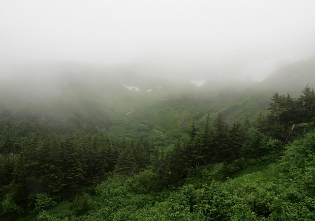 IMG 7701