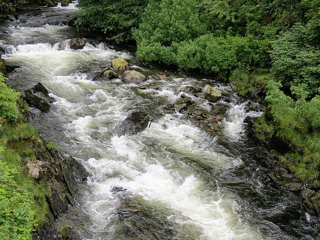 IMG 7615