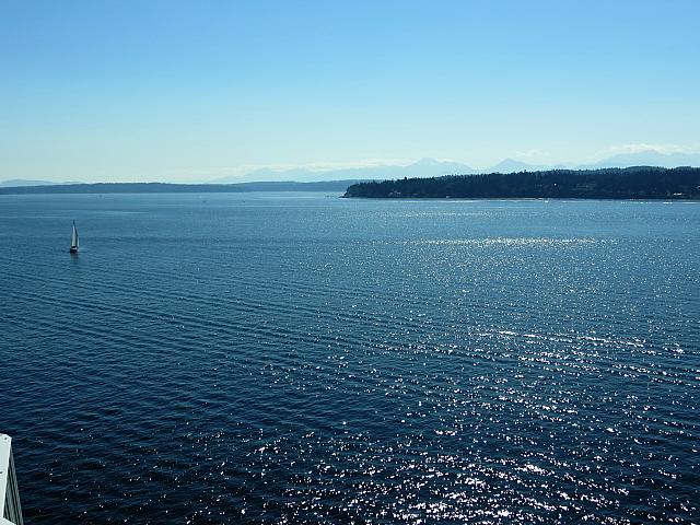 IMG 7550
