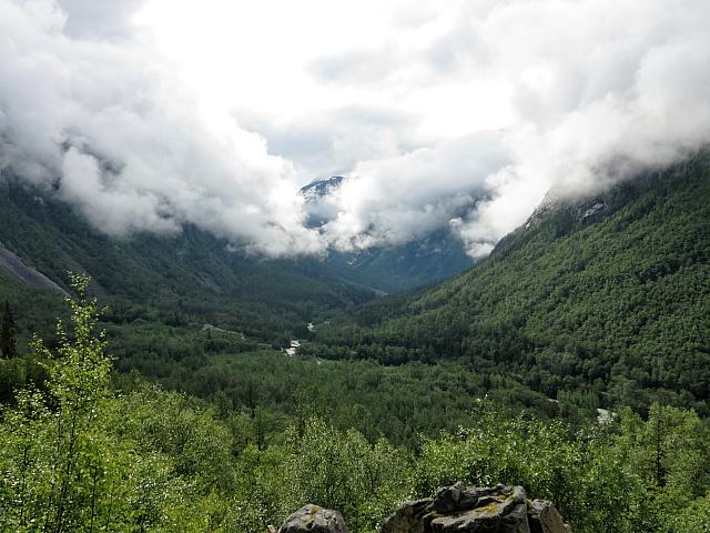 IMG 7779