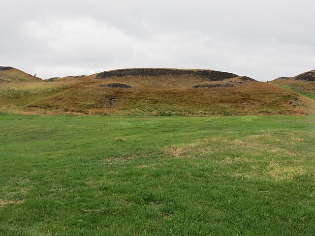 IMG 9080