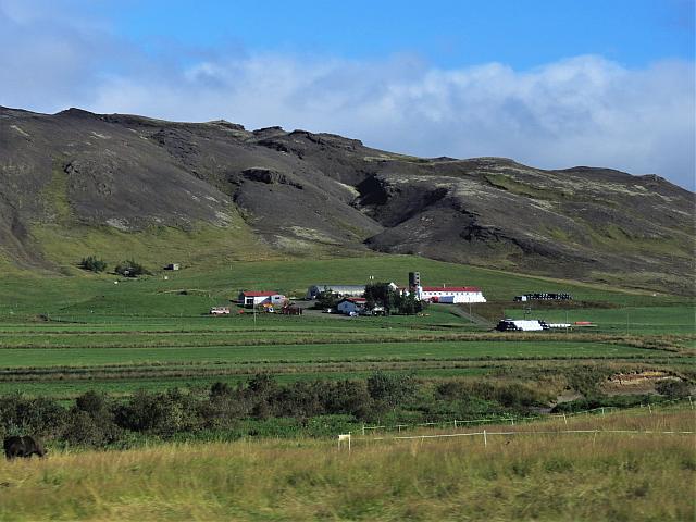 IMG 9278