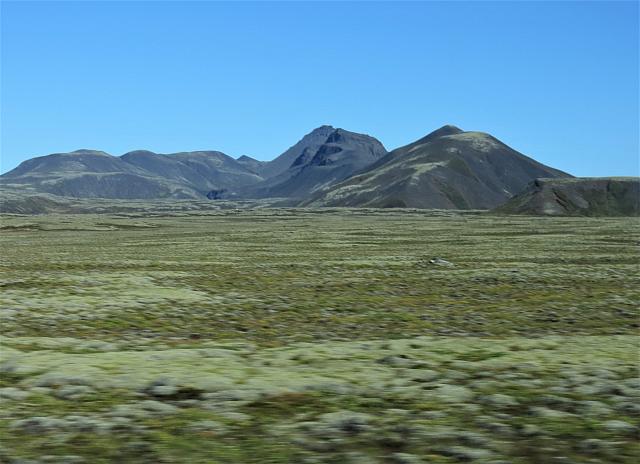 IMG 9315