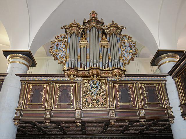 IMG 8650