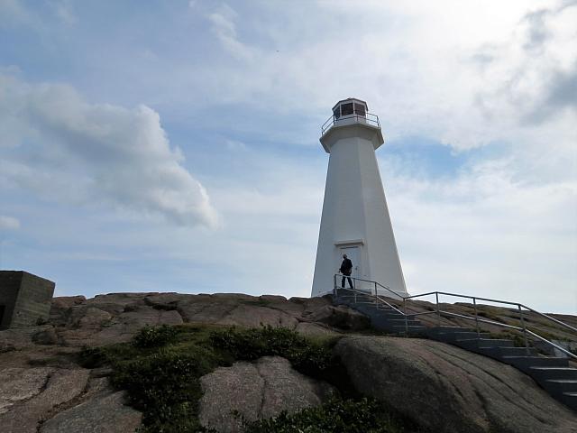 IMG 0018