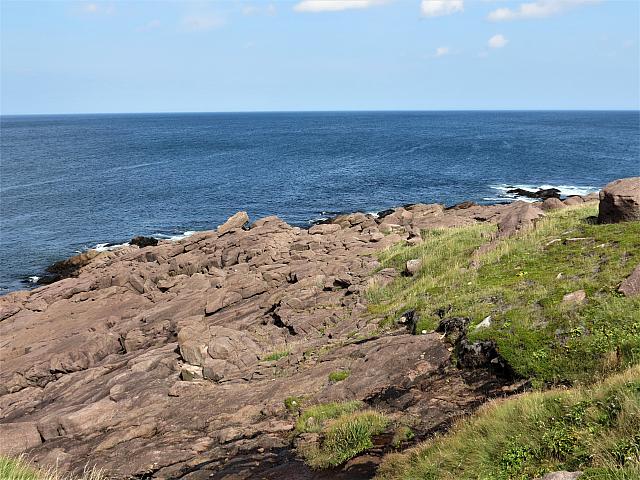 IMG 0037