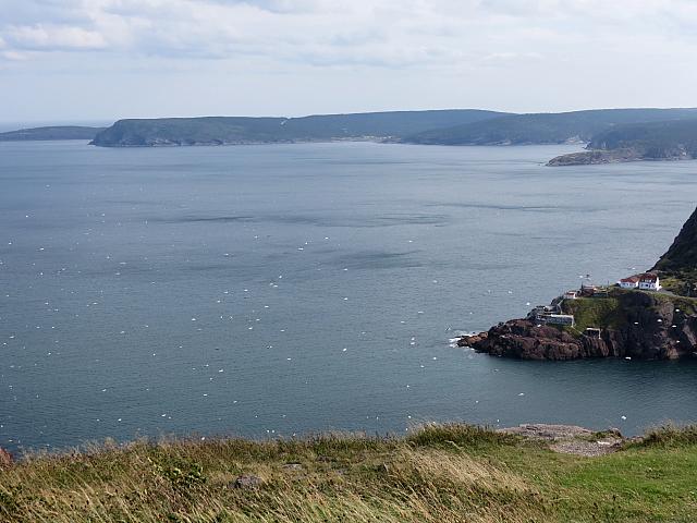 IMG 0081