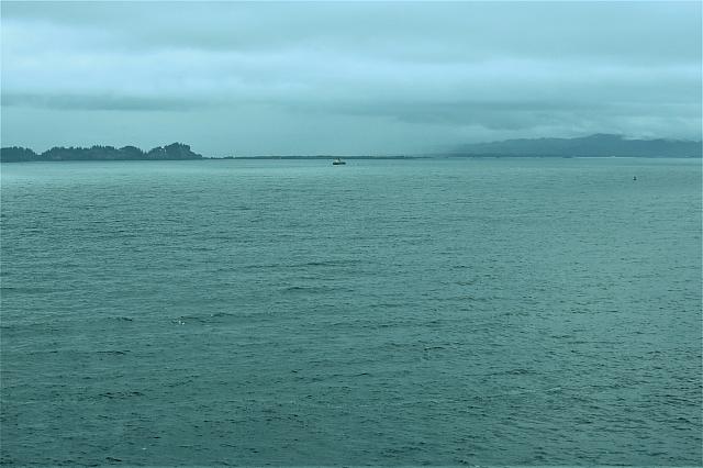IMG 2846