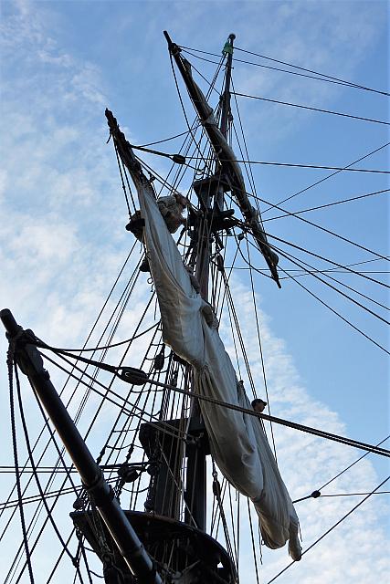 IMG 3482