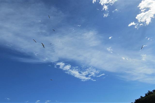IMG 3775