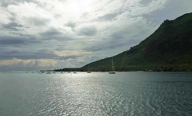 P1130065