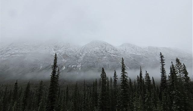 IMG 5351
