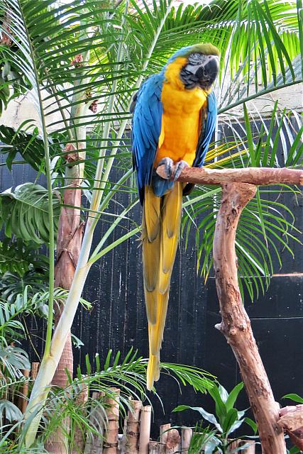 IMG 5516