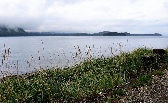 IMG 6090