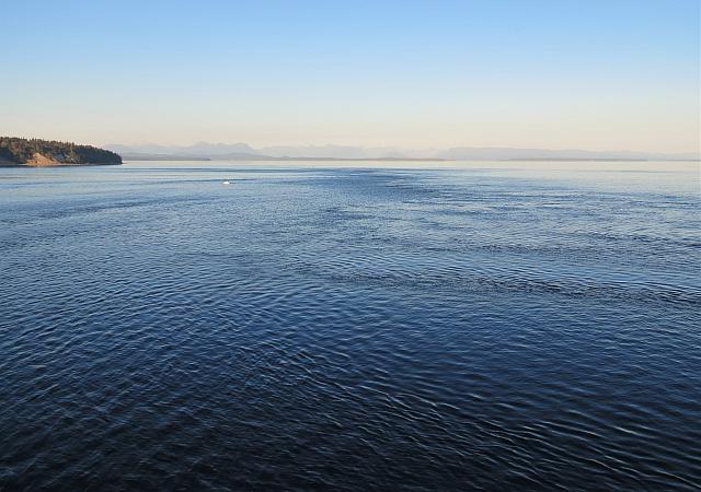 IMG 8229 (2)