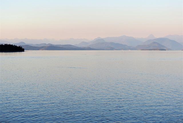 IMG 8235 (2)