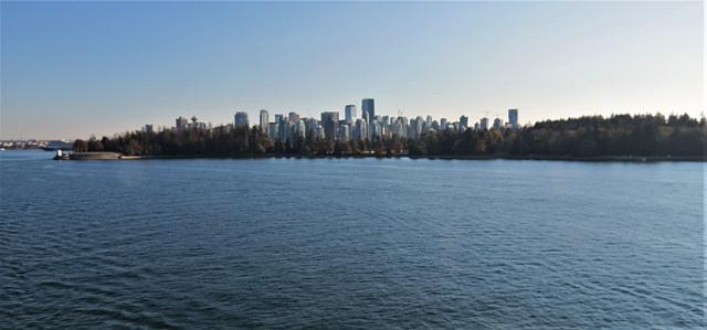 IMG 8241 (2)