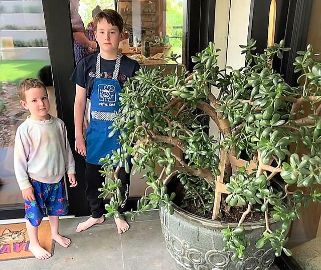 IMG 0640 - frame at 0m1s