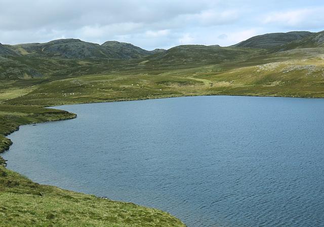IMG 9560-01