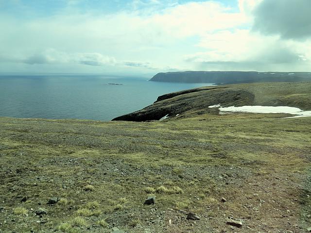 IMG 9578