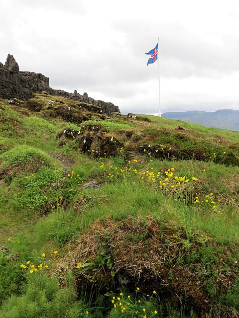 IMG 9852