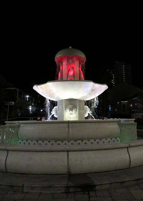 IMG 0324 - Copy